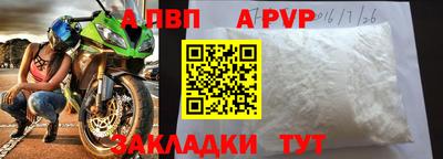 мет Кингисепп