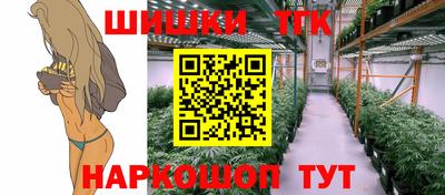 мет Кингисепп