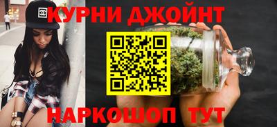 мет Кингисепп