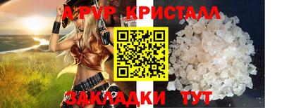 мет Кингисепп